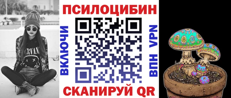 KRAKEN вход  что такое   Андреаполь  Псилоцибиновые грибы Magic Shrooms 